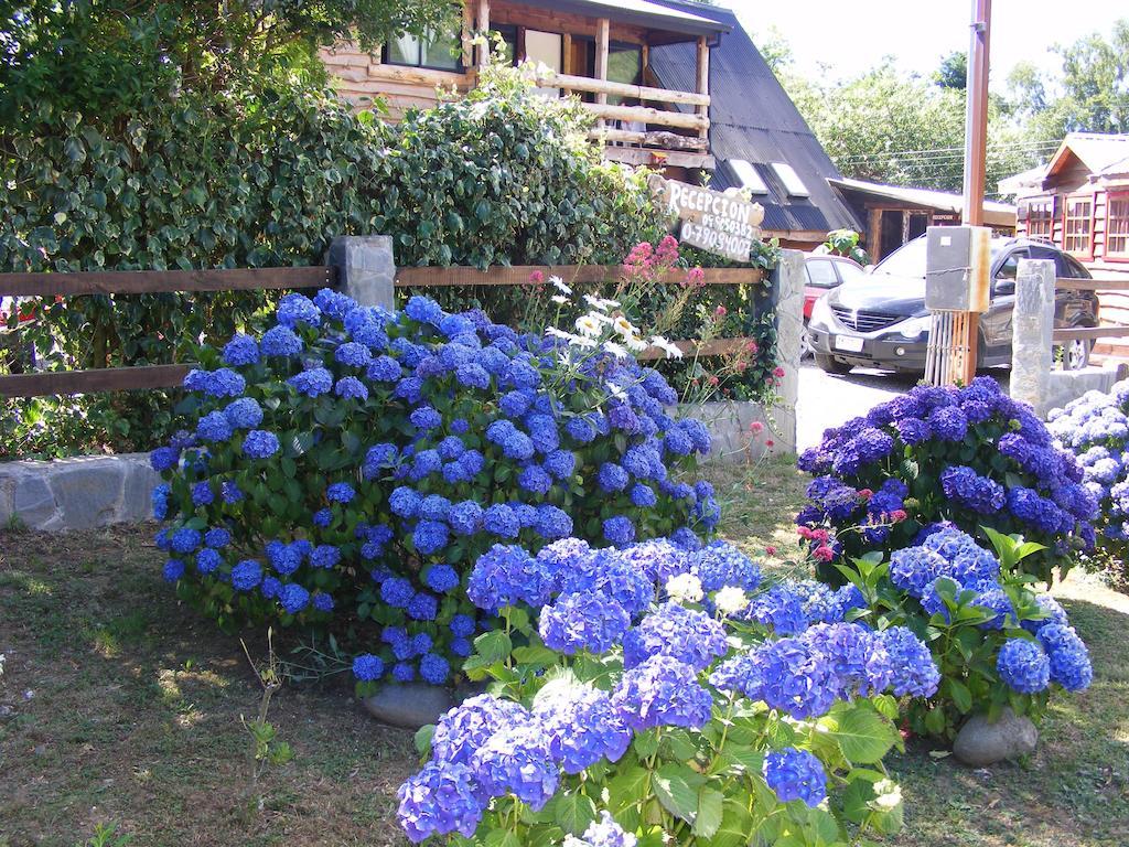 Cabanas Las Hortensias Hotell Niebla Eksteriør bilde