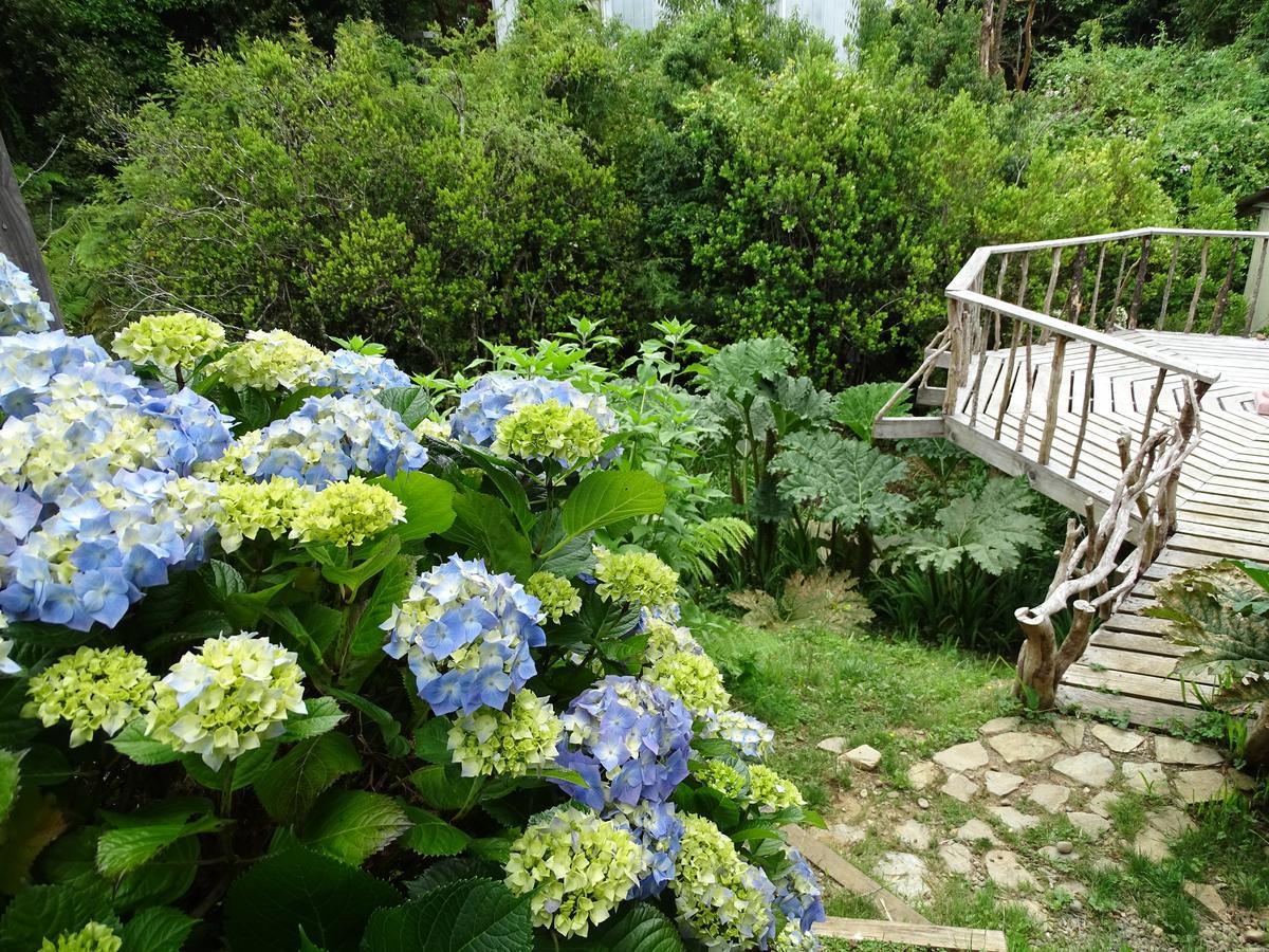 Cabanas Las Hortensias Hotell Niebla Eksteriør bilde